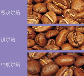 咖啡豆的烘焙 你真的了解嗎？別整天拿鐵卡布，不知道到底喝的啥